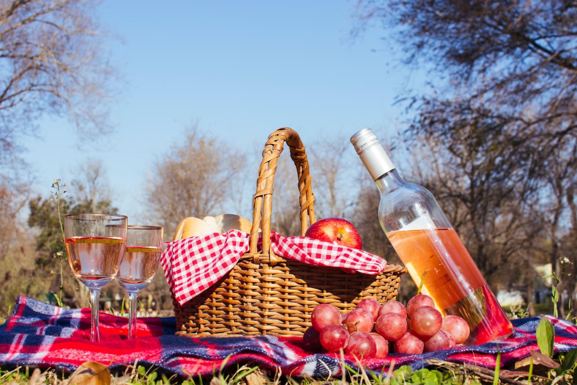 Luxury picnic basket with wine glasses on a blanket — luxury picnic Nairobi setup by Reina Events